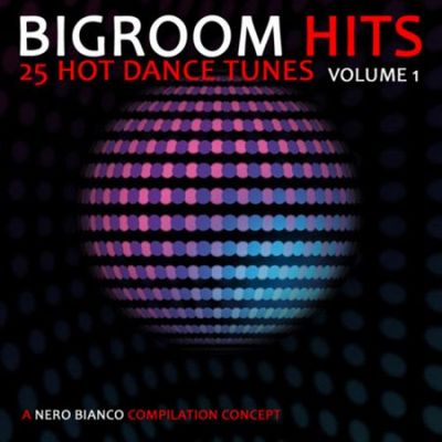 Bigroom Hits: Volume 1 (2010)